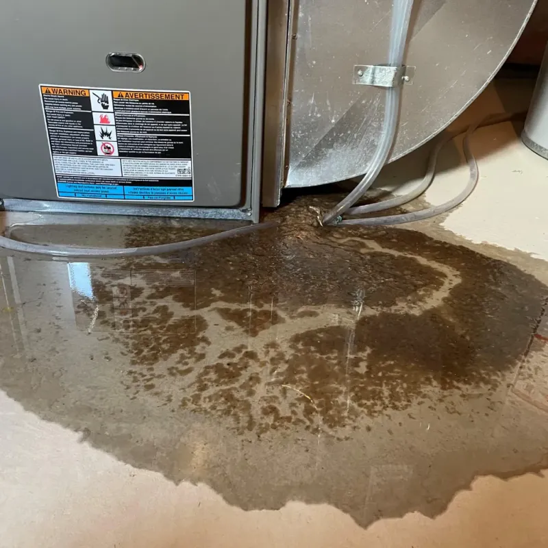 Appliance Leak Cleanup in Hamlet, NC